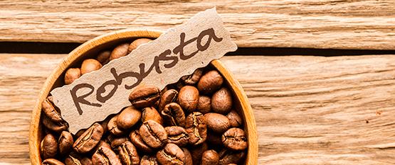 Robusta