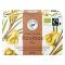 Green Bird Rooibos Te Ekologisk Fairtrade