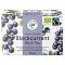 Green Bird Tea BlackCurrant Black Tea Ekologisk Fairtrade